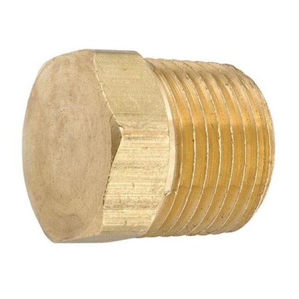 Anderson Metals Ander Metal A6P-70612504 0.25 Solid Hex Plug Low Lead Brass A6P-70612504